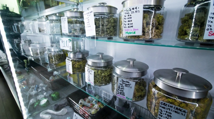 A shelf full of glass cannabis jars is displayed, illustrating your first visit to an Illinois dispensary.