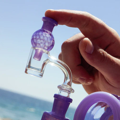 A person's hand holding a small purple glass accessory attached to a clear pipe, with the ocean in the background.