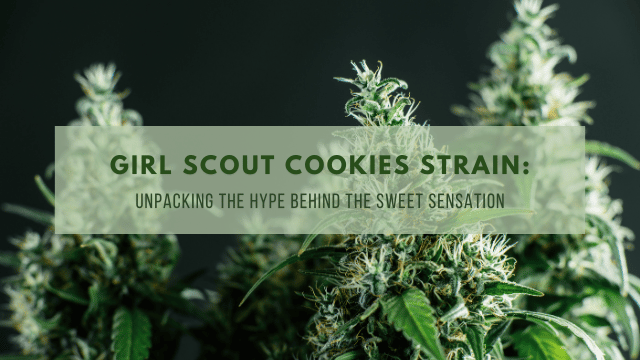 Close-up of a cannabis plant with text overlay that reads: 