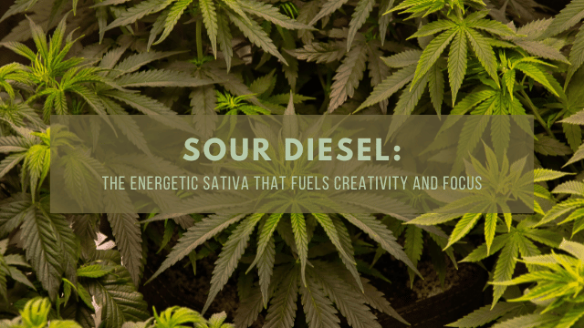Image of cannabis leaves with text overlaying them that reads, 