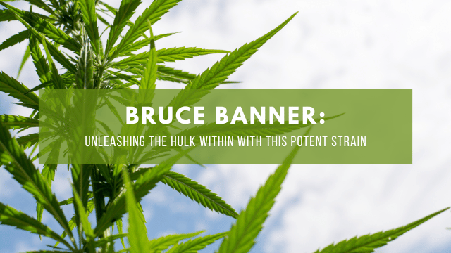 A green cannabis plant with thin leaves against a cloudy sky. Text overlay reads: 