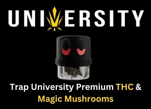 Logo of "university" with a playful font resembling eyes, on a black background, above a jar labeled "trap university premium THCA vapes & magic mushrooms" containing dark substances.