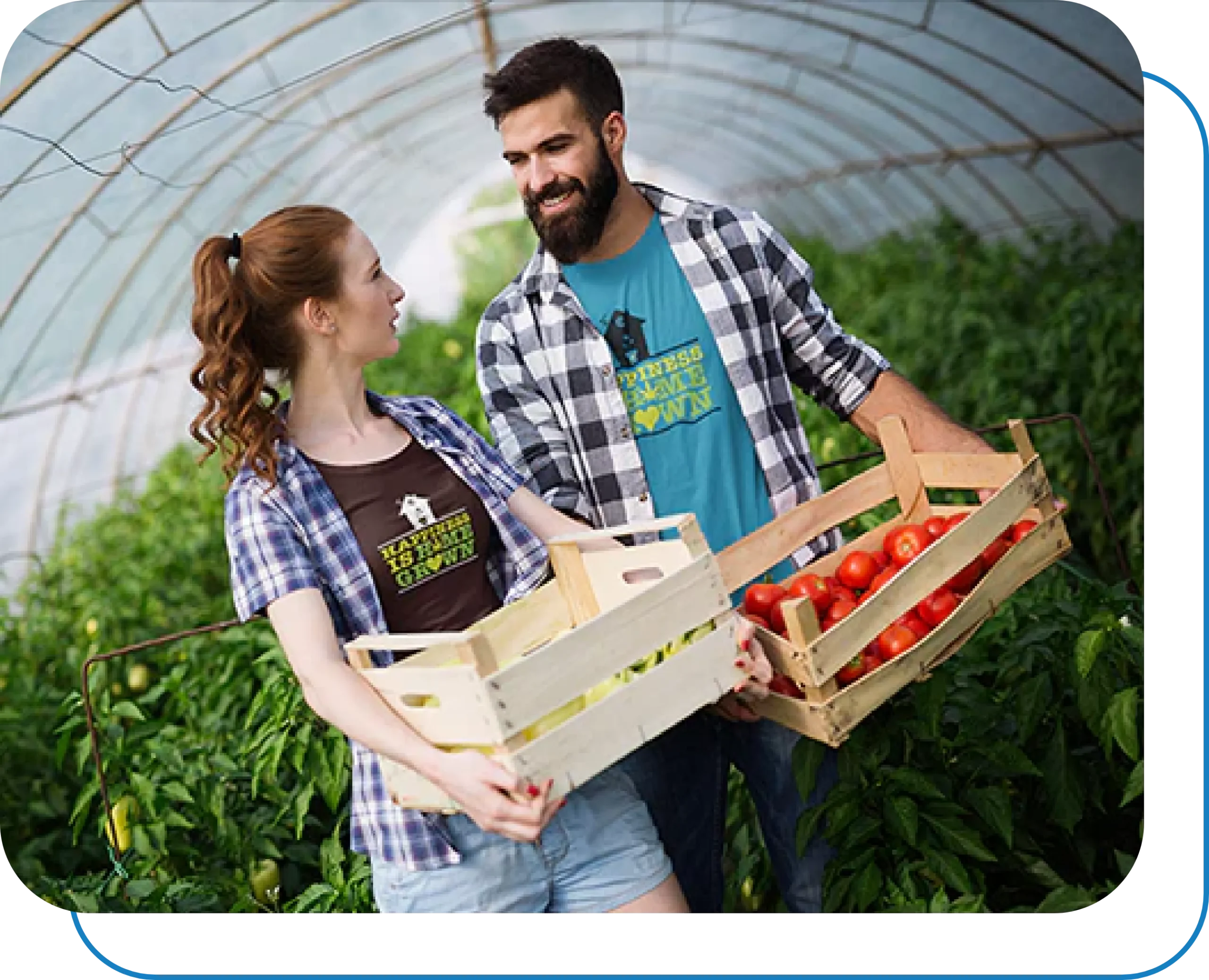 A man and woman, both dressed casually in plaid shirts, converse while carrying wooden crates filled with fresh vegetables, including tomatoes. They are inside a greenhouse, surrounded by lush green plants. The greenhouse is arched and covered in transparent material.