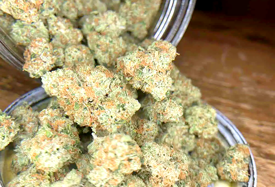 A close-up view of dried cannabis buds spilling out from a metal jar onto a wooden surface. These dense, crystal-coated buds from Urban Farmacy in Portland, Oregon, showcase vibrant orange hairs and texture—perfect for convenient cannabis delivery.