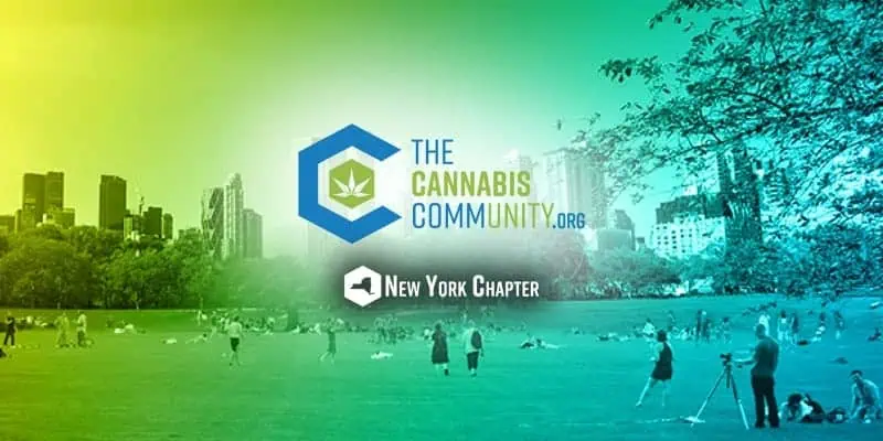 A large park with people relaxing on the grass under a blue and yellow gradient sky. The logo and text read “The Cannabis Community.org” with a leaf symbol and “New York Chapter.” City skyscrapers are visible in the background.