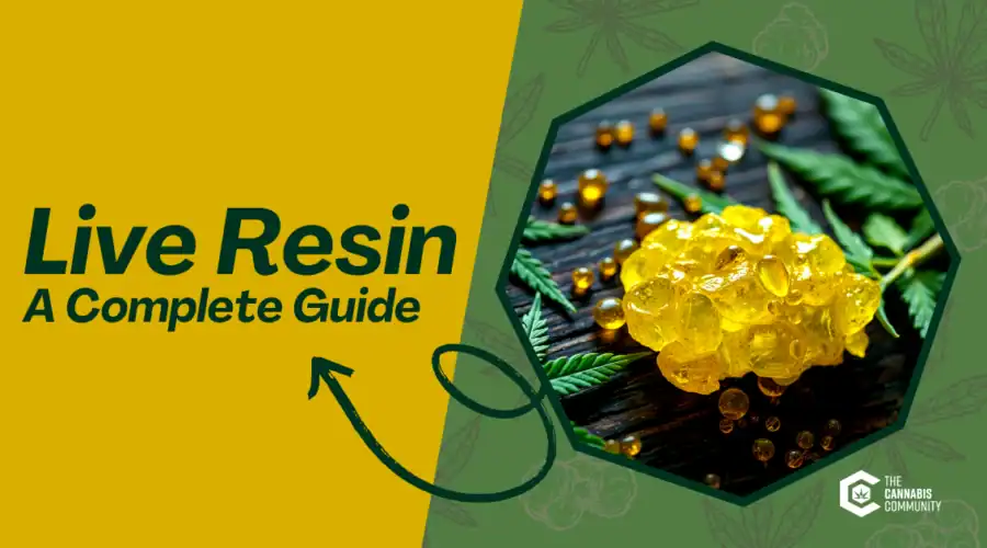 What is Live Resin? Benefits, Uses, and How It Compares to Other Cannabis Extracts