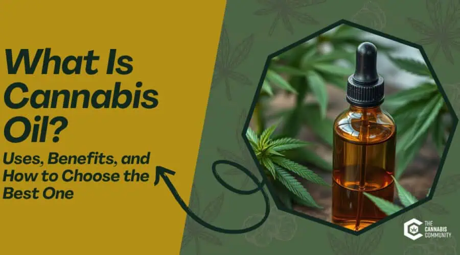 What Is Cannabis Oil? Uses, Benefits, and How to Choose the Best One