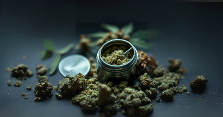 What Is Kief? Benefits, Uses, and How to Collect This Potent Cannabis ...