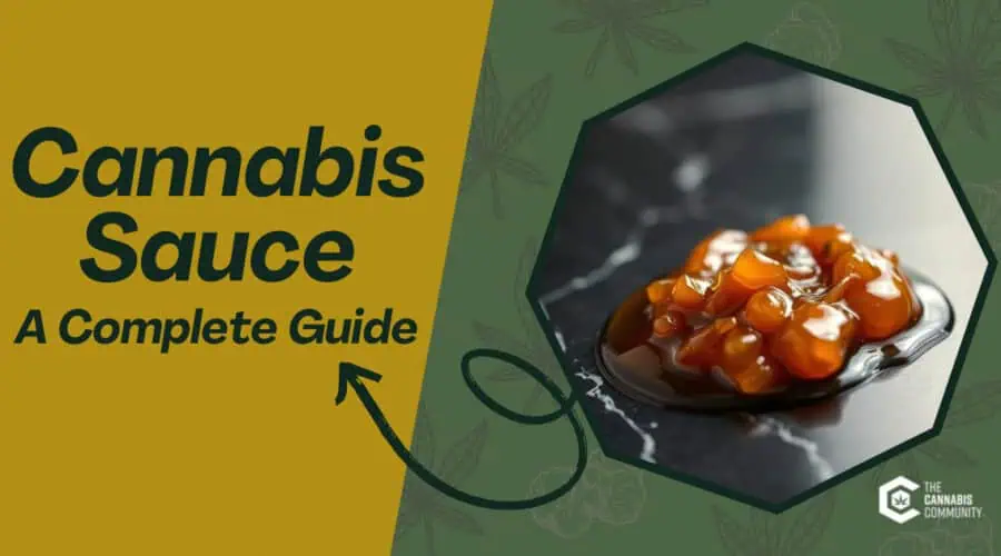 What Is Cannabis Concentrate Sauce? A Guide to Terpene-Rich THC Extracts