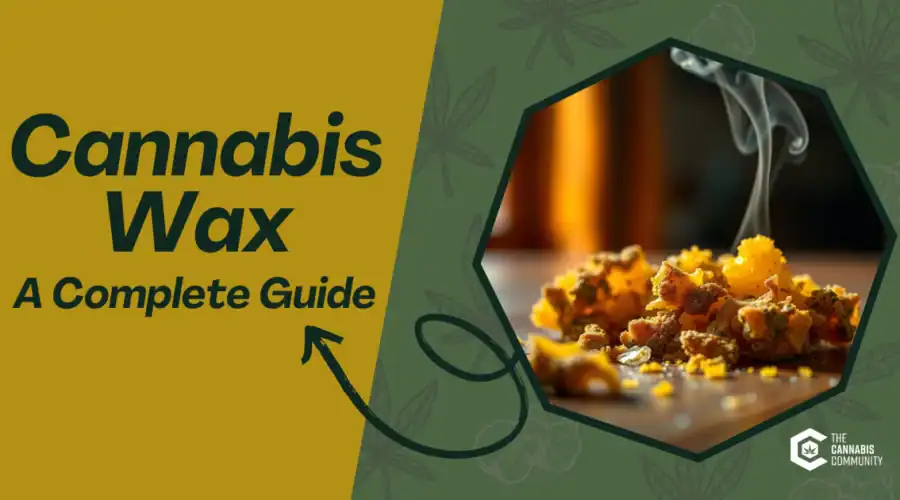 The Ultimate Guide to Cannabis Wax: Benefits, Uses, and Safety Tips